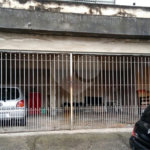 Sobrado à venda com 6 quartos em Freguesia do Ó, São Paulo, SP