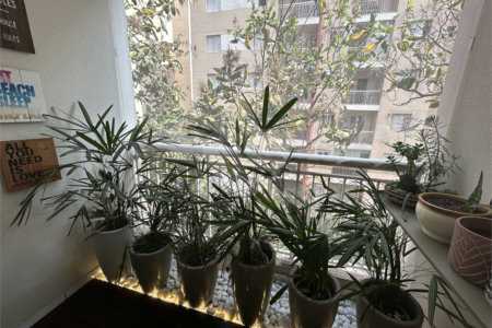 Apartamento à venda com 1 suíte em Vila Polopoli, São Paulo, SP