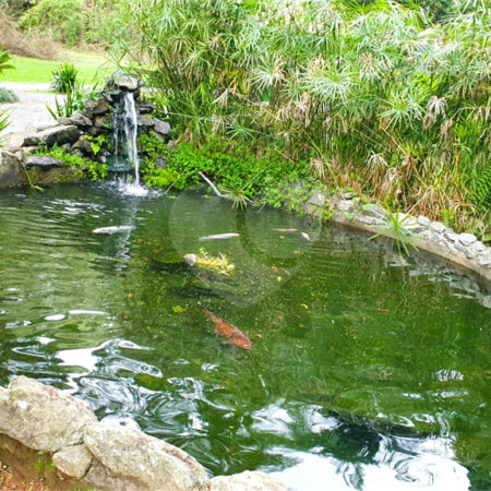 Terreno à venda em Jardim São Vicente, Cotia, SP