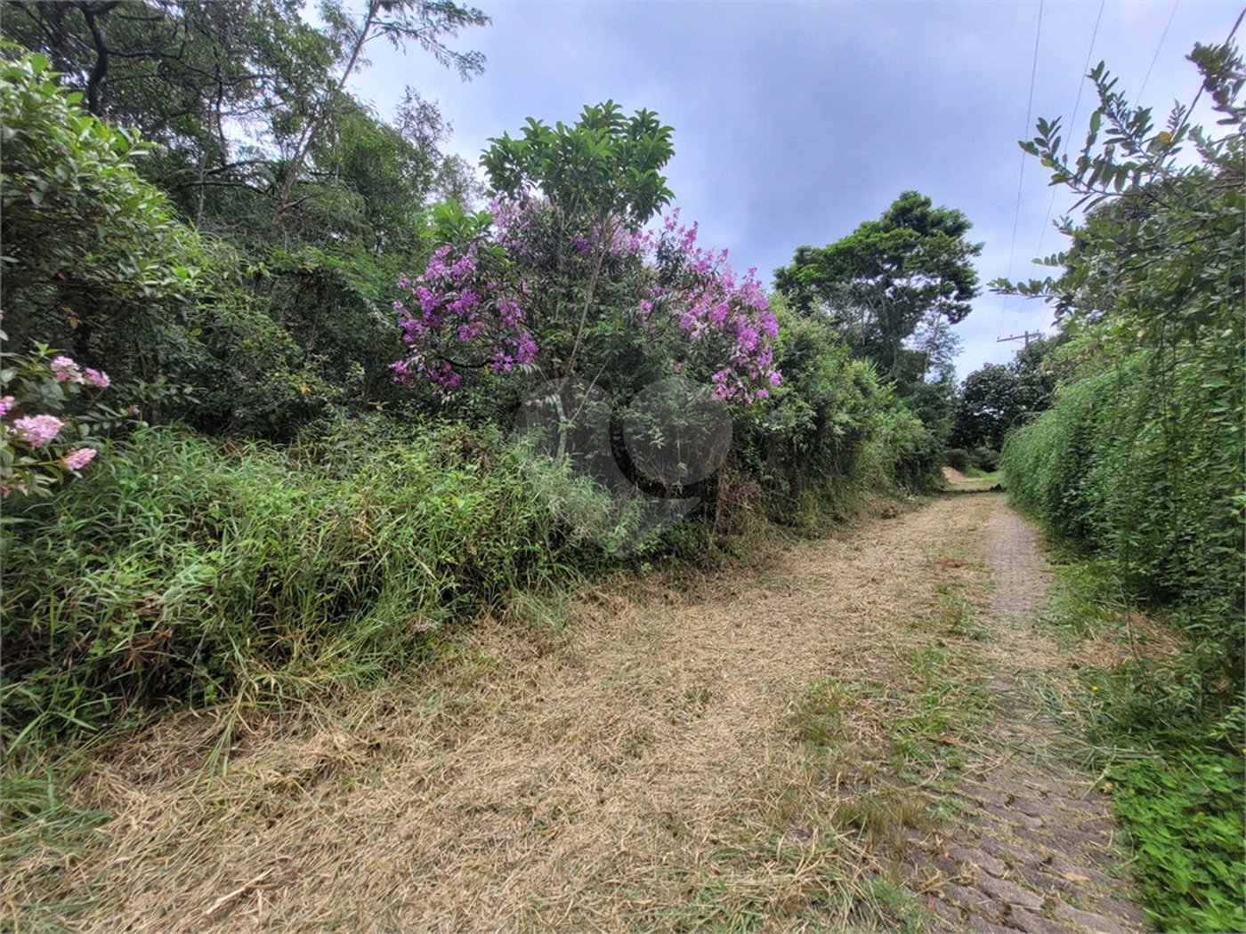 Terreno à venda em Serra da Cantareira, Mairiporã, SP