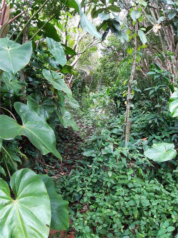 Terreno à venda em Vila Irmãos Arnoni, São Paulo, SP