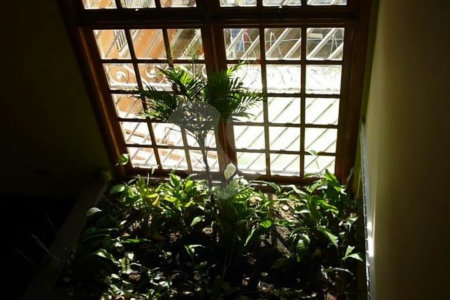 Sobrado à venda com 3 suítes em Vila Mazzei, São Paulo, SP