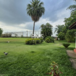 SÍTIO À VENDA EM ELIAS FAUSTO 21.900 m² - ÓTIMA TOPOGRAFIA E EXCELENTE LOCALIZAÇÃO