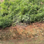 Terreno à venda no condomínio Parque Imperial da Cantareira, Mairiporã - SP