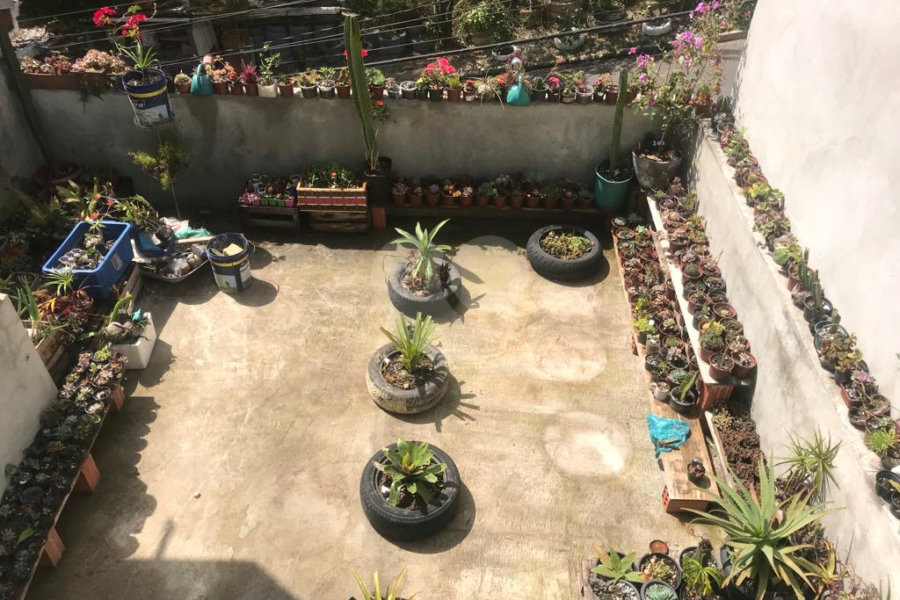 Casa Térrea à venda com 3 quartos em Vila Aurora (zona Norte), São Paulo, SP