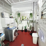 Apartamento à venda com 2 quartos em Alto da Boa Vista, Rio de Janeiro, RJ