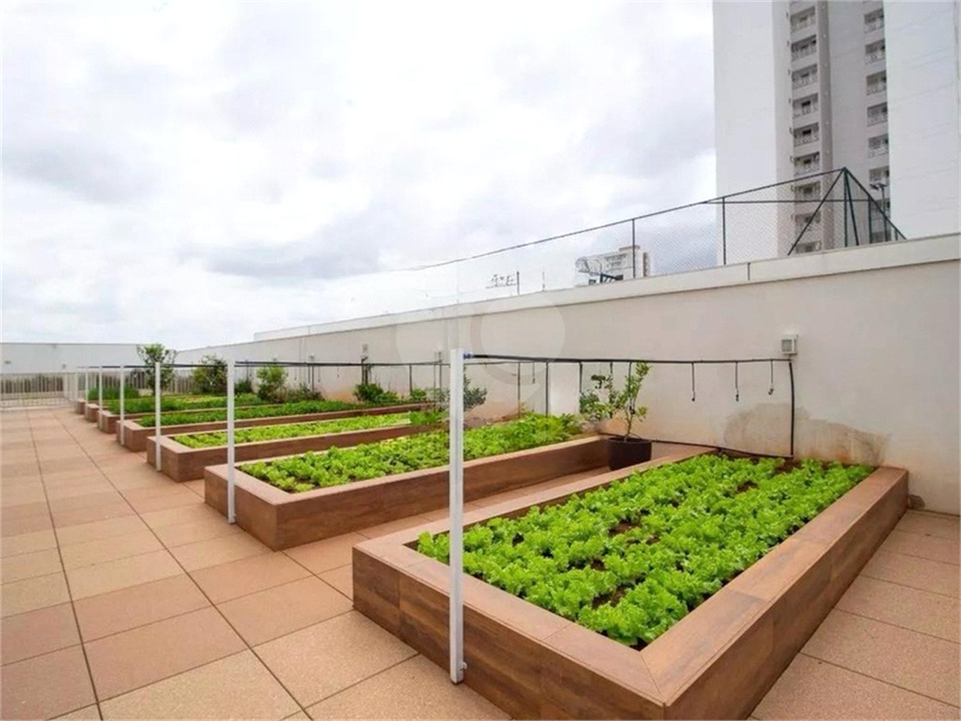 Apartamento à venda com 3 quartos, sendo 1 suíte, em Parque Campolim, Sorocaba, SP