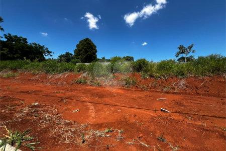 Terreno à venda no condomínio Residencial Quinta das Palmeiras, Itapetininga - SP