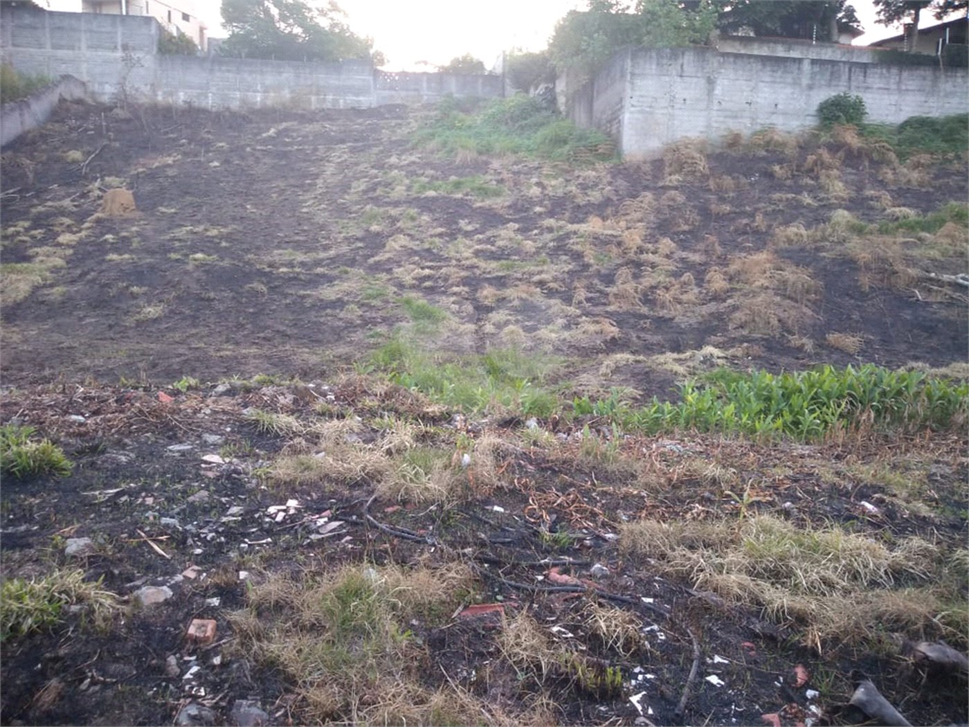 Terreno à venda em Vila Oliveira, Mogi das Cruzes, SP
