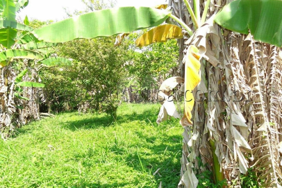 Terreno à venda em Horto Florestal, São Paulo, SP