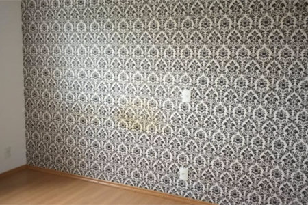Apartamento à venda com 2 quartos, sendo 1 suíte, em Vila Guarani (z Sul), São Paulo, SP