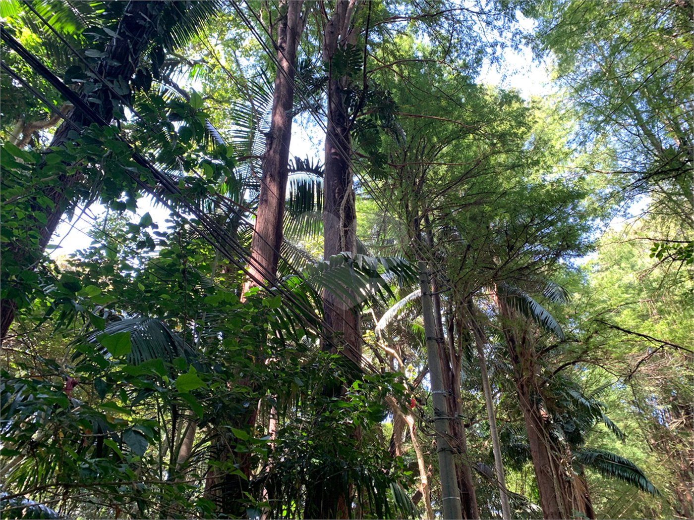 Terreno à venda no condomínio Chácara Flora, São Paulo - SP