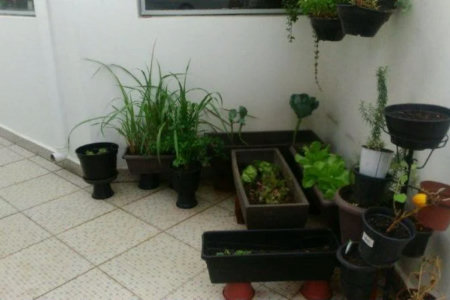 Casa no Butantâ com jardim e piscina
