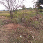 Terreno à venda em Monterrey, Louveira, SP