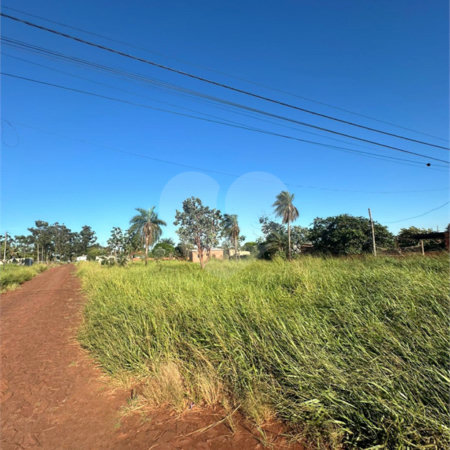 Terreno à venda em Pedro Juan Caballero, Amambay