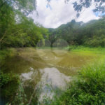 Terreno à venda em Vila Moraes, Mogi das Cruzes, SP