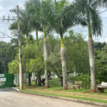 Terreno à venda no condomínio Millenium Campolim, Sorocaba - SP