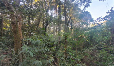 Terreno à venda em Serra da Cantareira, Mairiporã, SP