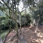 Casa à venda com 3 quartos, sendo 1 suíte, no condomínio Alpes da Cantareira, Mairiporã - SP