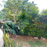 Sobrado à venda com 5 suítes no Centro, Vinhedo, SP