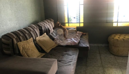 Casa à venda com 3 quartos em Cidade Vista Verde, São José dos Campos, SP