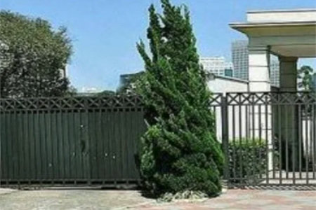 Casa à venda com 4 suítes no condomínio Village Paineiras, São Paulo - SP