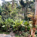 Casa à venda com 4 quartos, sendo 1 suíte, em Serra da Cantareira, Mairiporã, SP