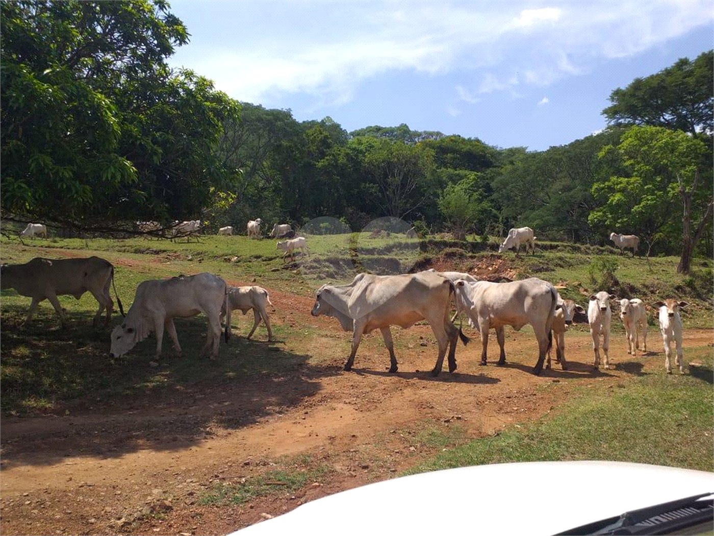 Sítio à venda com 2 quartos no Centro, Descalvado, SP