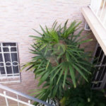 Sobrado à venda com 2 quartos em Vila Maria Alta, São Paulo, SP