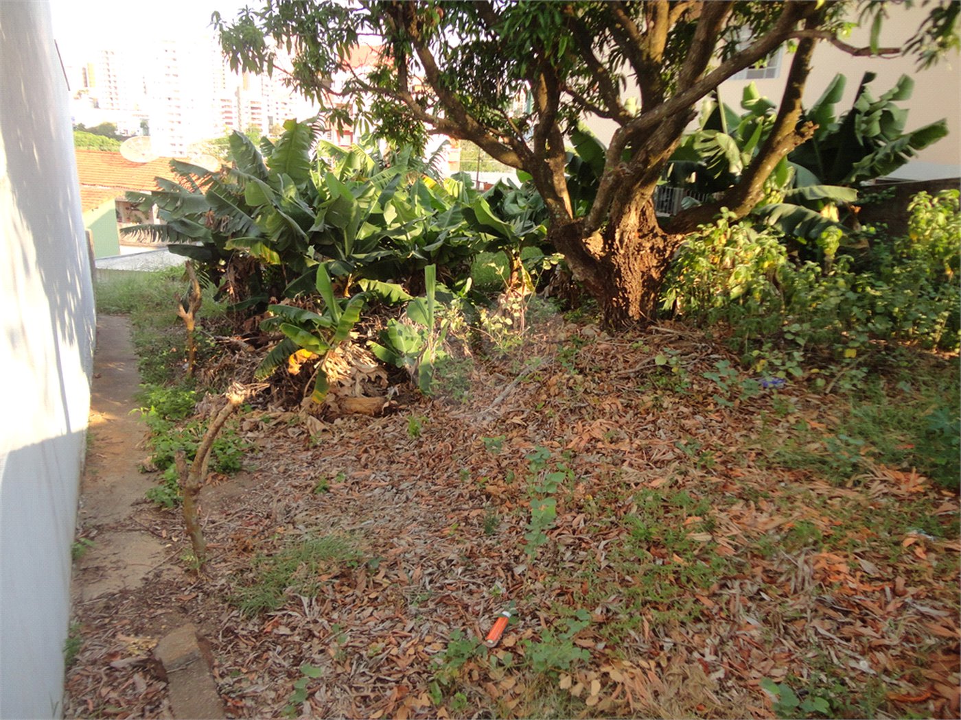Terreno à venda em Vila São José, Valinhos, SP