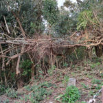 Terreno à venda no condomínio Alpes da Cantareira, Mairiporã - SP