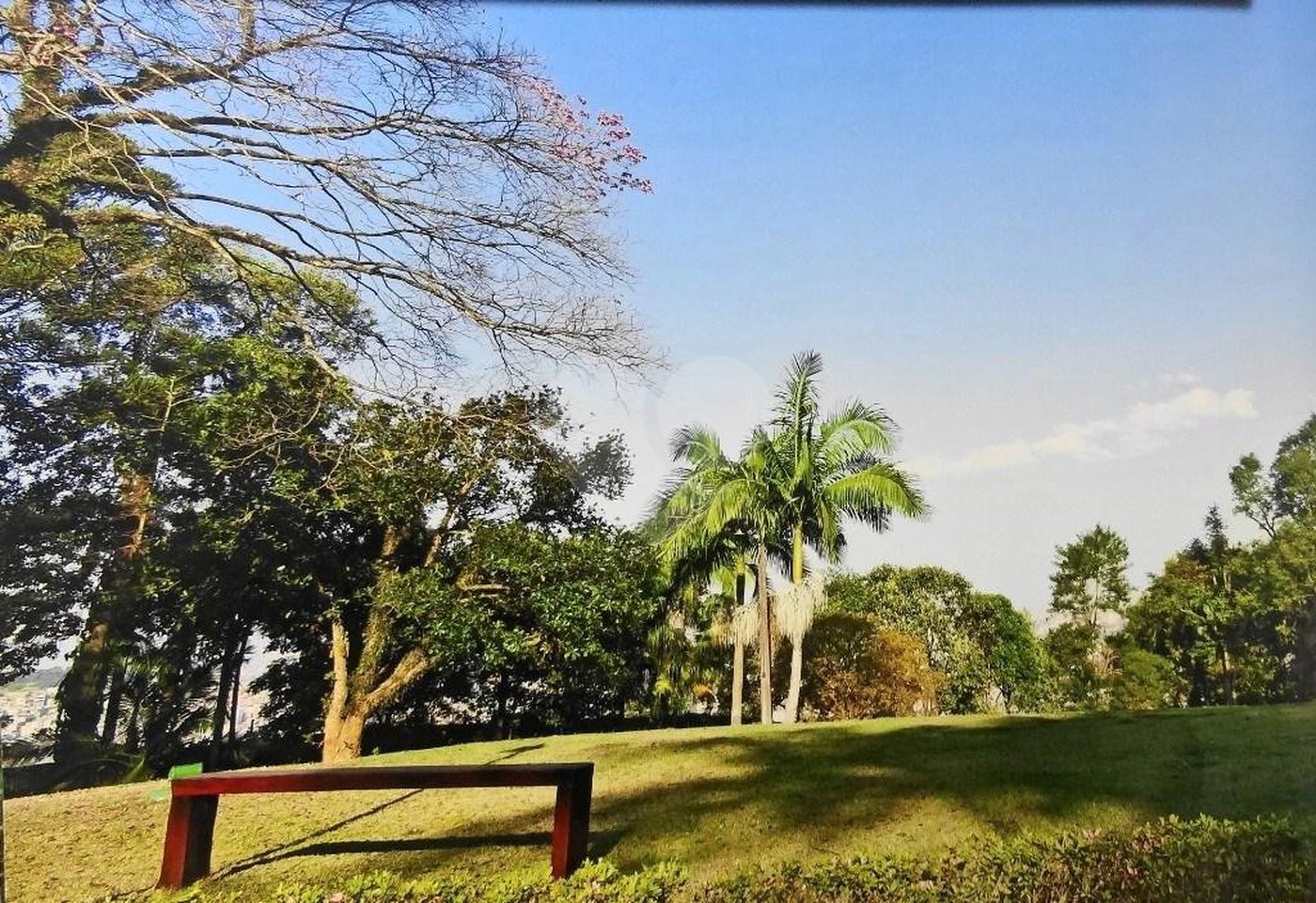 Terreno à venda em Vila Irmãos Arnoni, São Paulo, SP