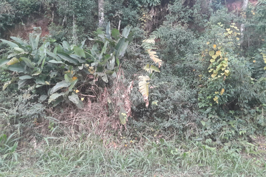 Terreno à venda em Serra da Cantareira, Mairiporã, SP