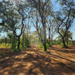 Terreno à venda em Jardim Residencial Iedda, Araraquara, SP