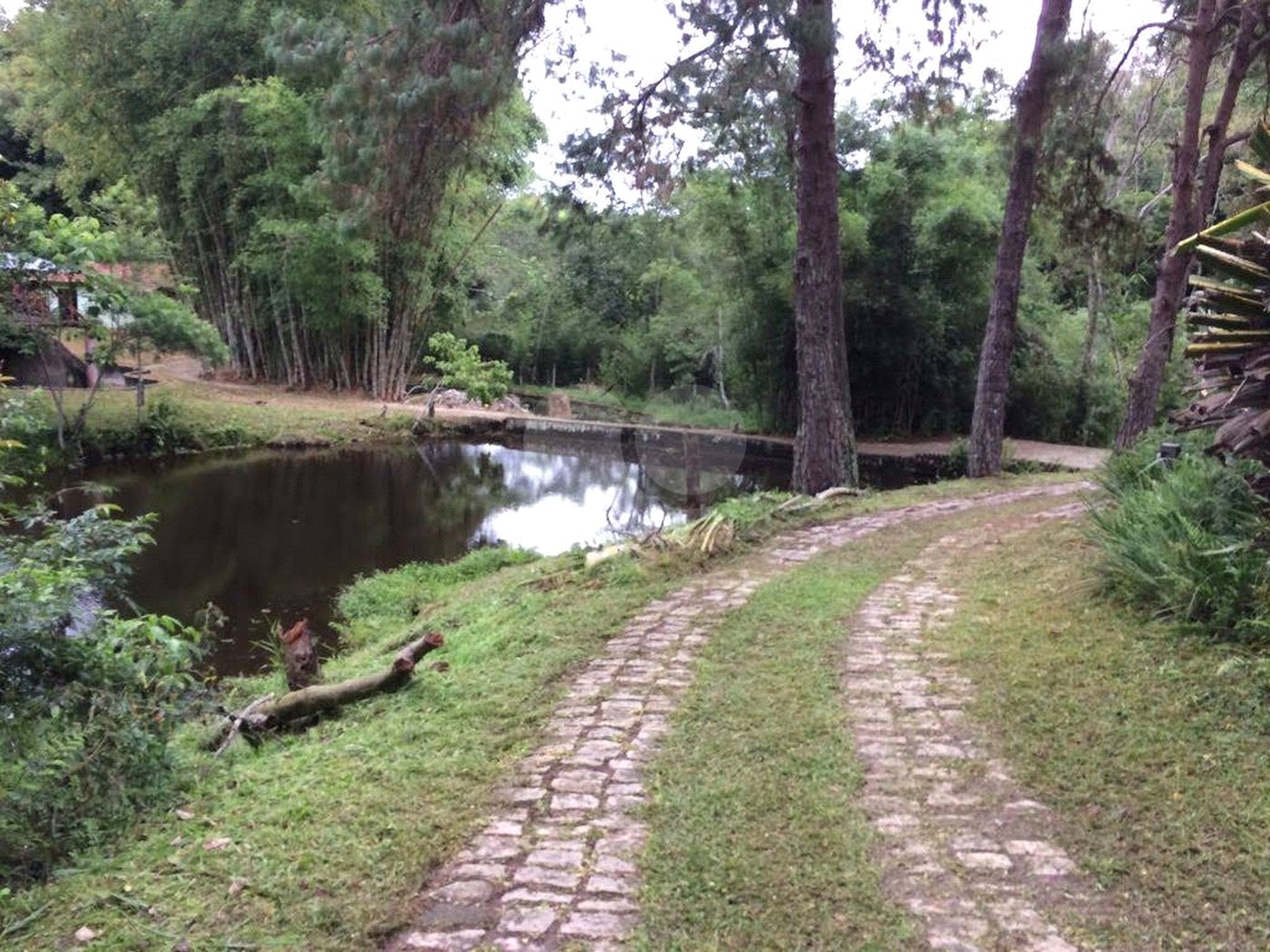 Sítio à venda com 5 suítes em Botujuru, Mogi das Cruzes, SP