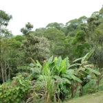 Terreno à venda em Rio Grande, São Bernardo do Campo, SP