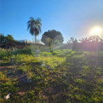 Terreno à venda em Jardim Ivone 1ª Seção, Ponta Porã, MS