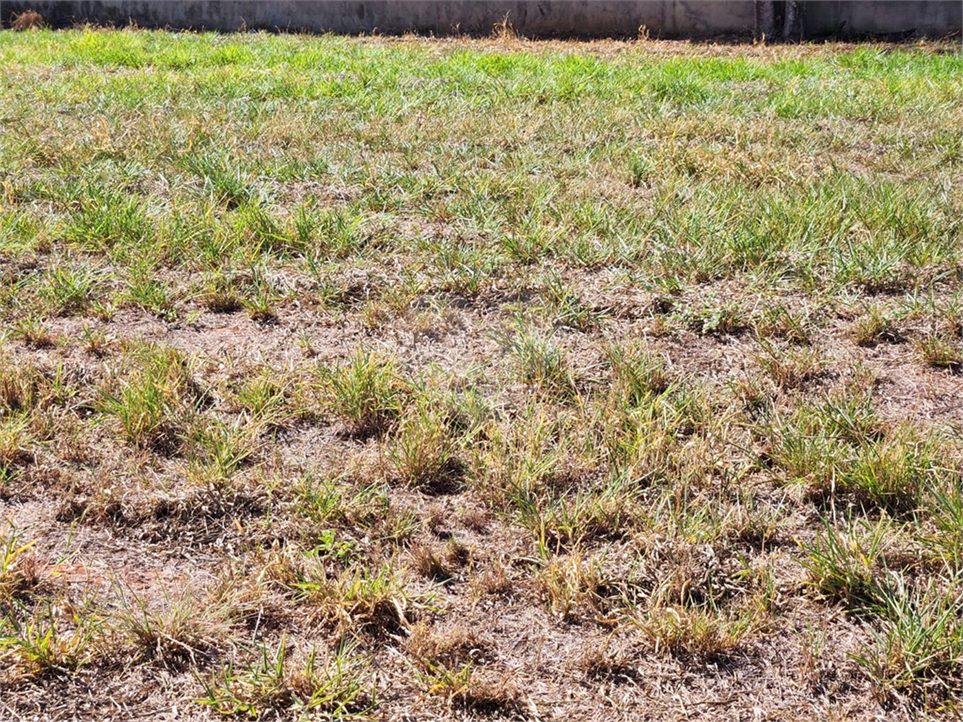 Terreno à venda no condomínio Bella Vittà Araraquara, Araraquara - SP