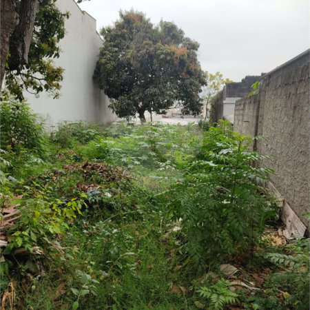Terreno à venda em Vila Constança, São Paulo, SP