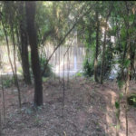 Terreno à venda em Jardim Peri Peri, São Paulo, SP