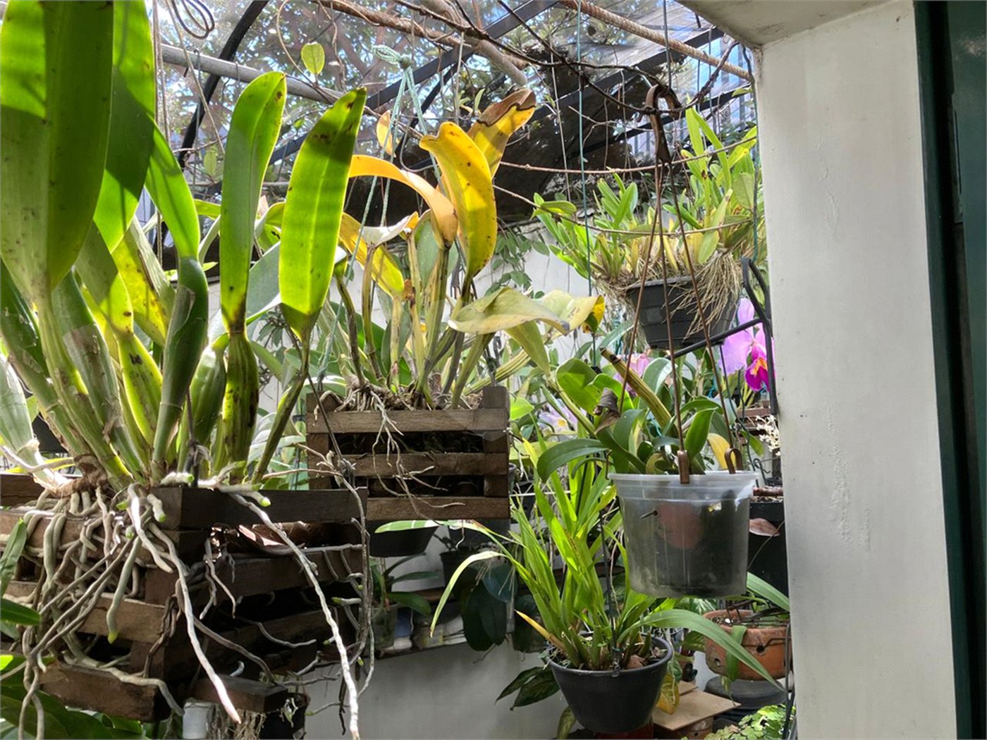 Casa à venda com 5 quartos, sendo 2 suítes,  em Vila Maria Alta, São Paulo, SP