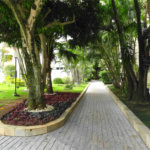Apartamento à venda com 3 quartos, sendo 1 suíte, em Barro Branco (zona Norte), São Paulo, SP