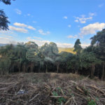 Terreno à venda no condomínio Sausalito, Mairiporã - SP