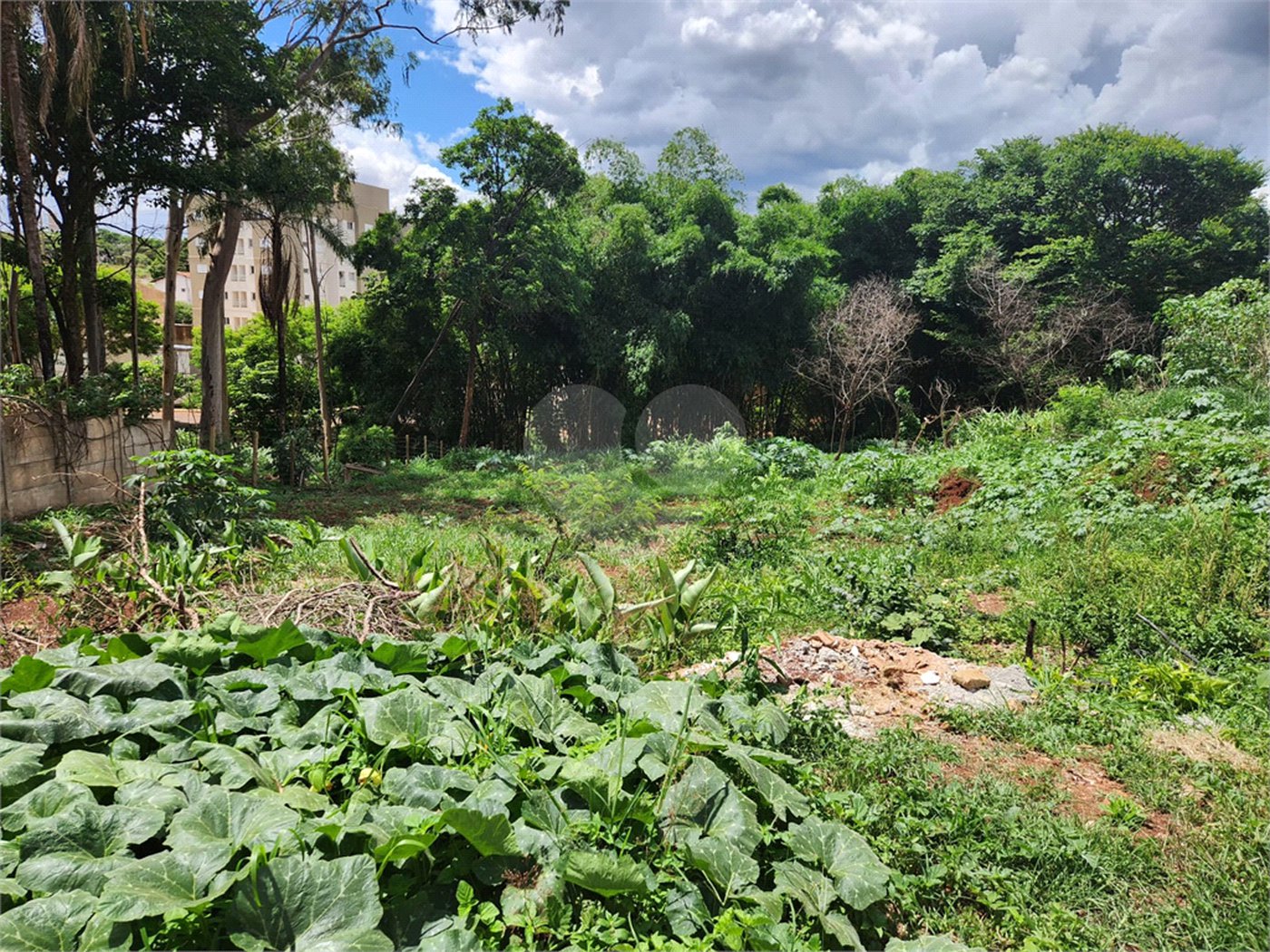 Terreno à venda em Jardim do Carmo, Araraquara, SP