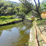 Chácara à venda com 10 quartos, sendo 20 suítes, em Serra da Cantareira, Mairiporã, SP
