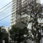 Apartamento à venda com 3 quartos, sendo 1 suíte, em Vila Guilherme, São Paulo, SP