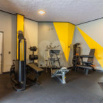 Apartamento à venda com 3 quartos, sendo 1 suíte, em Cambuci, São Paulo, SP