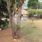 Terreno à venda em Nova Gardênia, Atibaia, SP