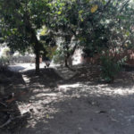 Terreno à venda em Chora Menino, São Paulo, SP
