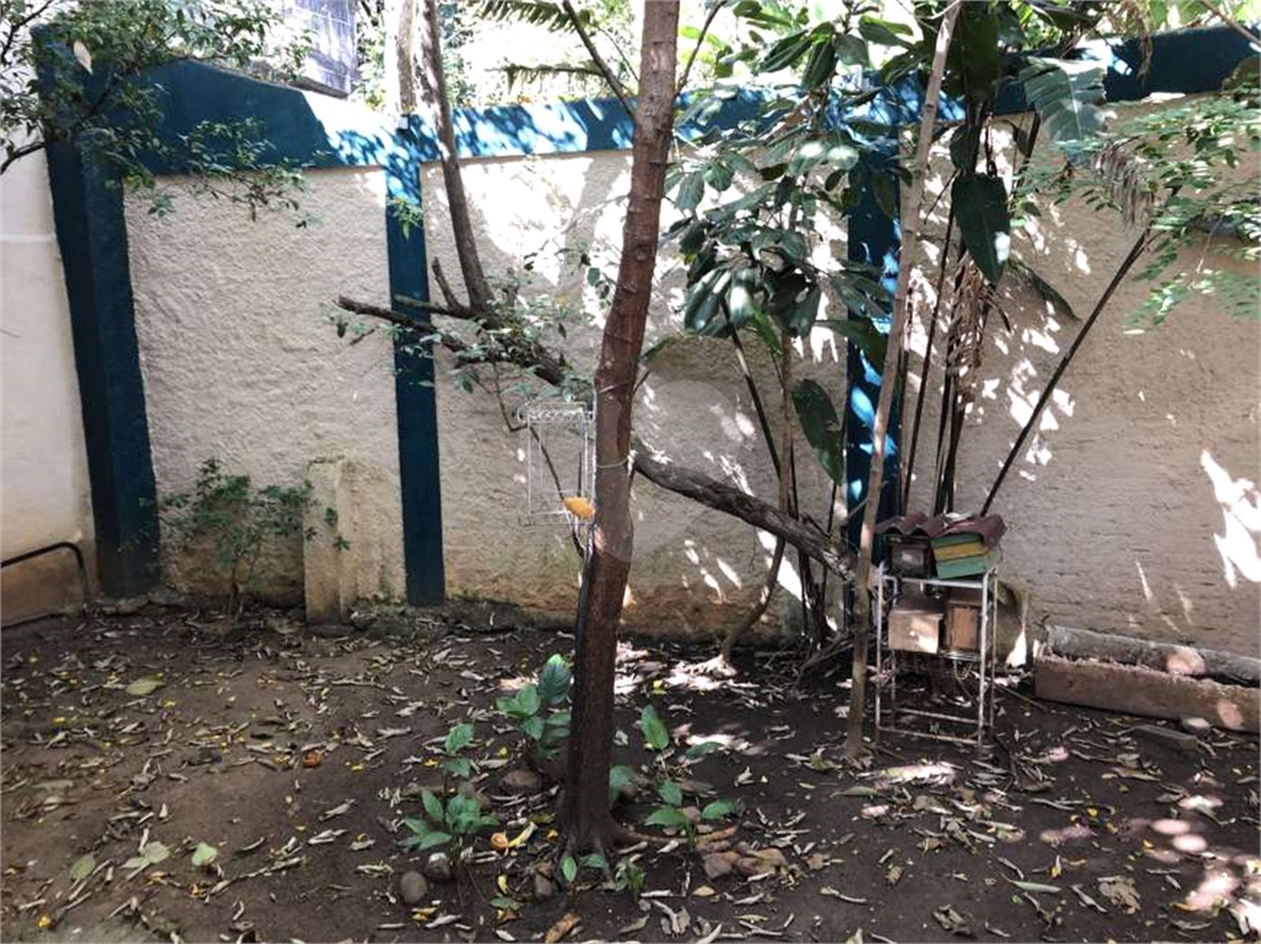 Casa Térrea à venda com 3 quartos, sendo 1 suíte, em Santana, São Paulo, SP
